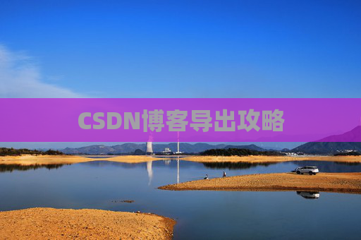 CSDN博客导出攻略